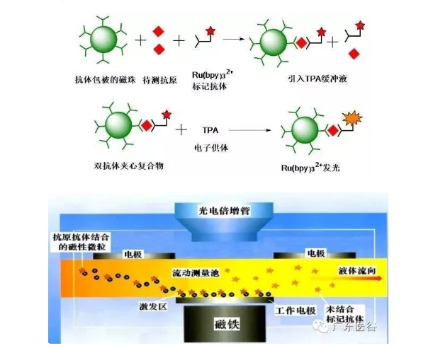 QQ截图20220601154632